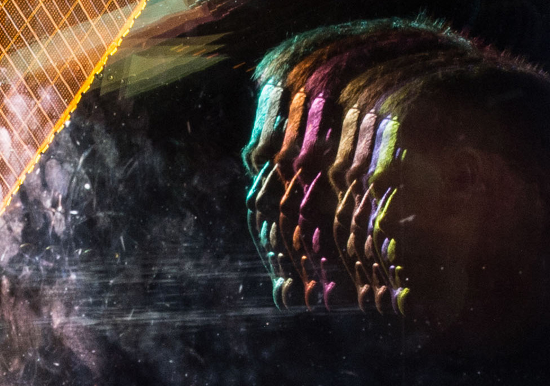 Illustration for article titled There's a Slice of 70s Pop Music in This Photo From the ISS